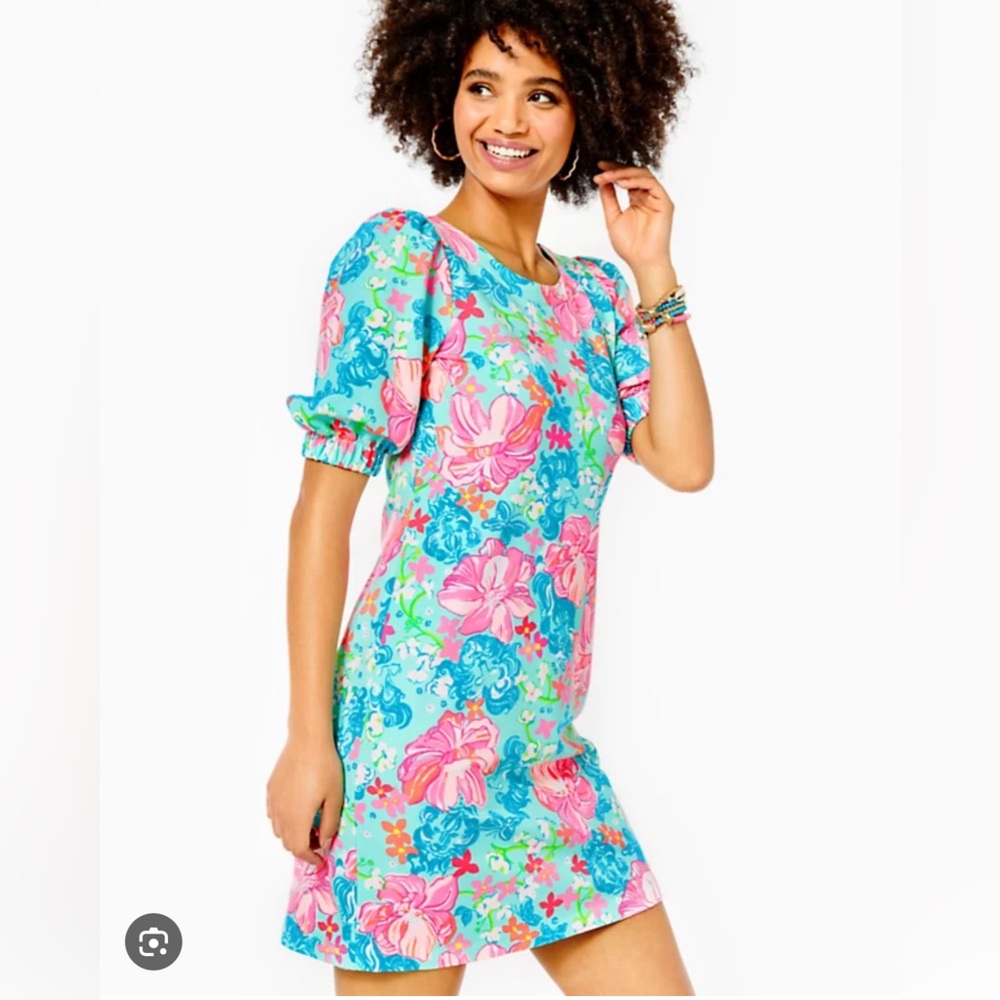 Lilly Pulitzer Caycee dress